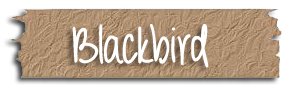 Blackbird